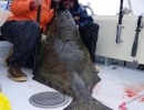 alaska-house-026