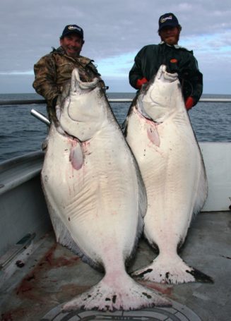 Seward Halibut Charters