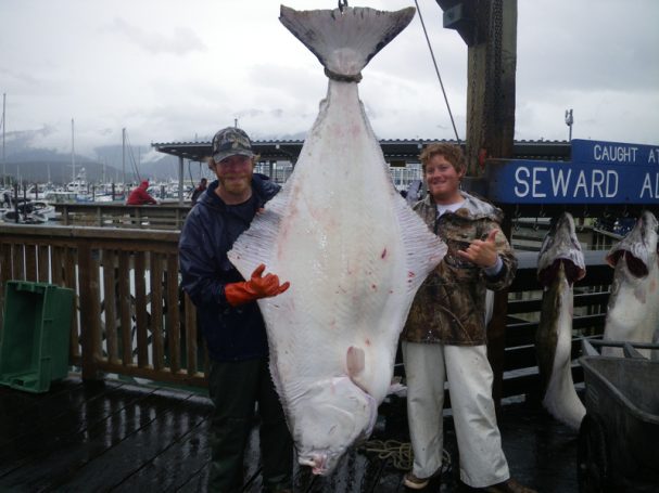Seward Halibut Charters
