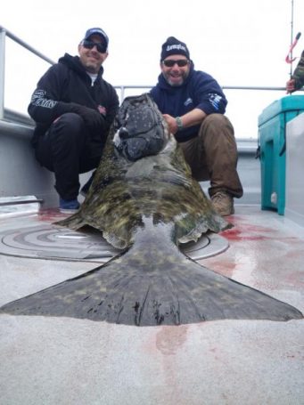 Seward Halibut Charters