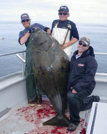 Seward Halibut Charters