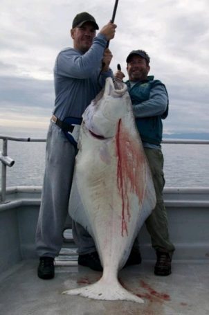Seward Halibut Charters