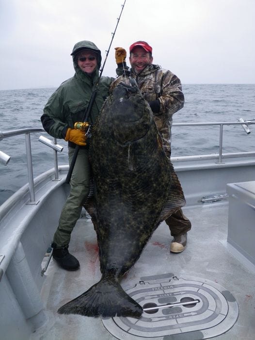 2010 198 pounds, 4th place in the Seward Jackpot Halibut Tou...