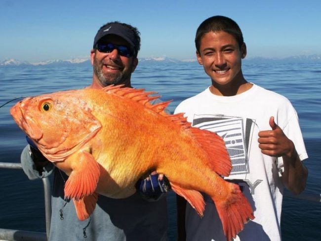 2010 Jace Heller's IGFA  JR. World Record Yellow Eye Rockfis...