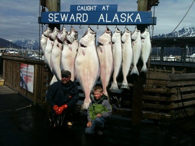 Captain Nik slaughtered again.....It is time to go, right no...