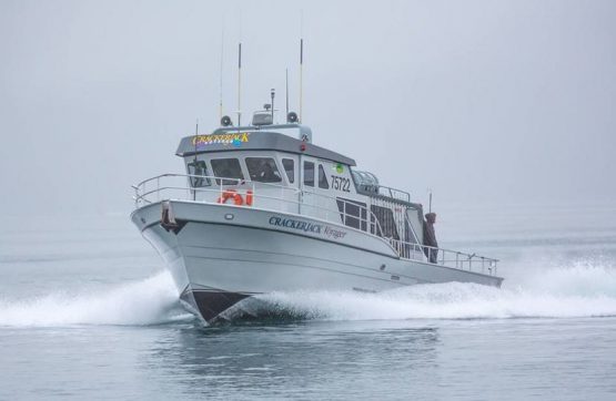 Crackerjack Voyager on its way out with fresh wax all around...