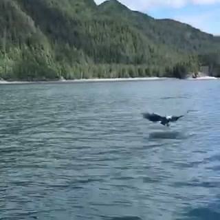 Every is fishing hard this time of year in Resurrection Bay ...