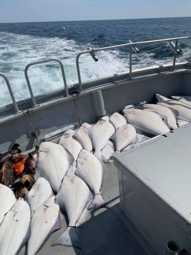 Fishing has been good on the Crackerjack Voyager lately. Com...