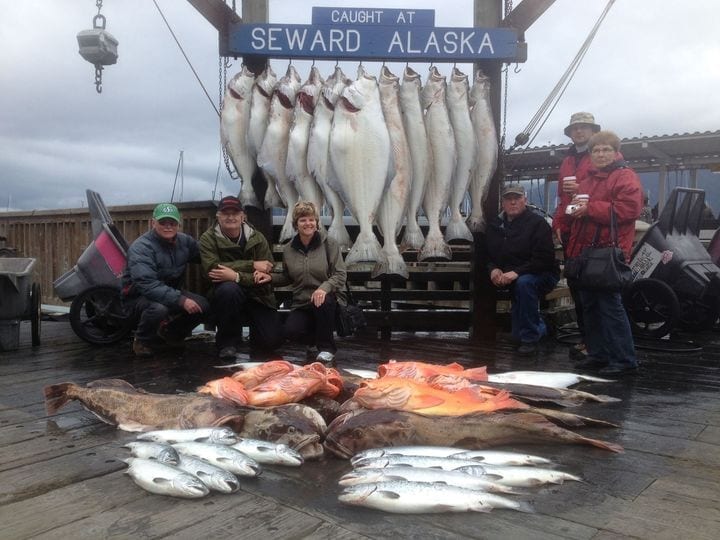 Great mix bag of big halibut, giant lings and yellow Great mix bag of big halibut, giant lings and yellow eyes an...