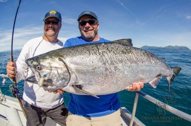 Great photo  of a nice king caught on Berkley Gulp! Fisheye ...