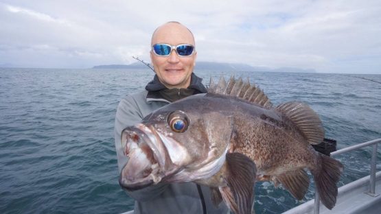 Have been catching a few giant rockfish too!!...