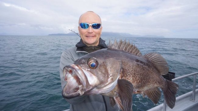 Have been catching a few giant rockfish too!!...