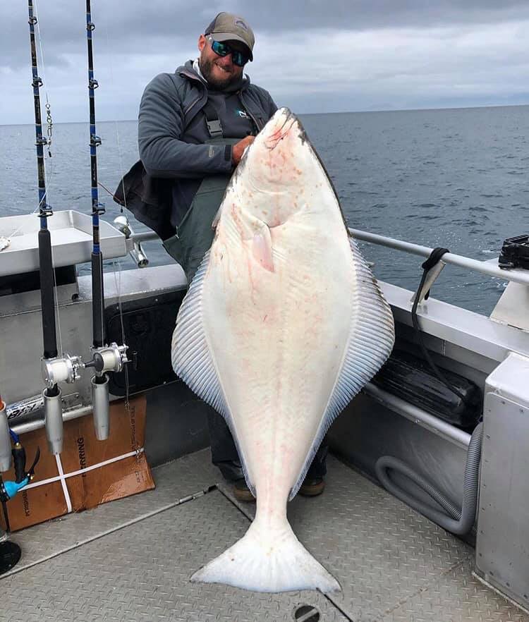Just another couple of days of epic Alaskan Saltwater fishin...