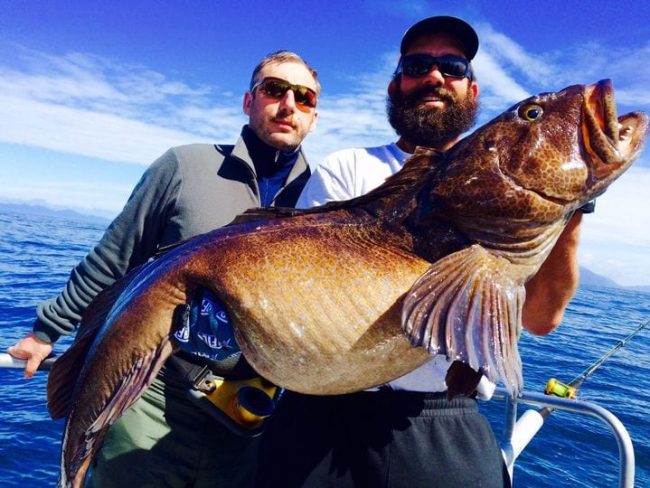 Just practicing til it's Ling season (July).......