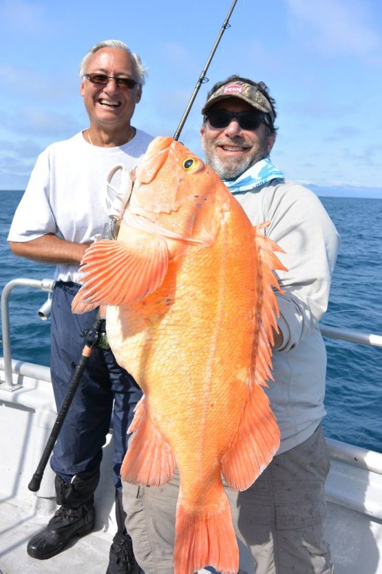 One more whopper from the 2015 season!!...