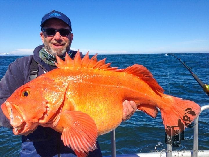 Spending a lot of time on Long Range Trips this year and fin...