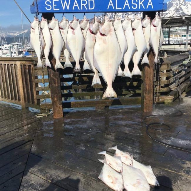 Terry on the keep it reel with kings, Jeff on the Crackerjac...