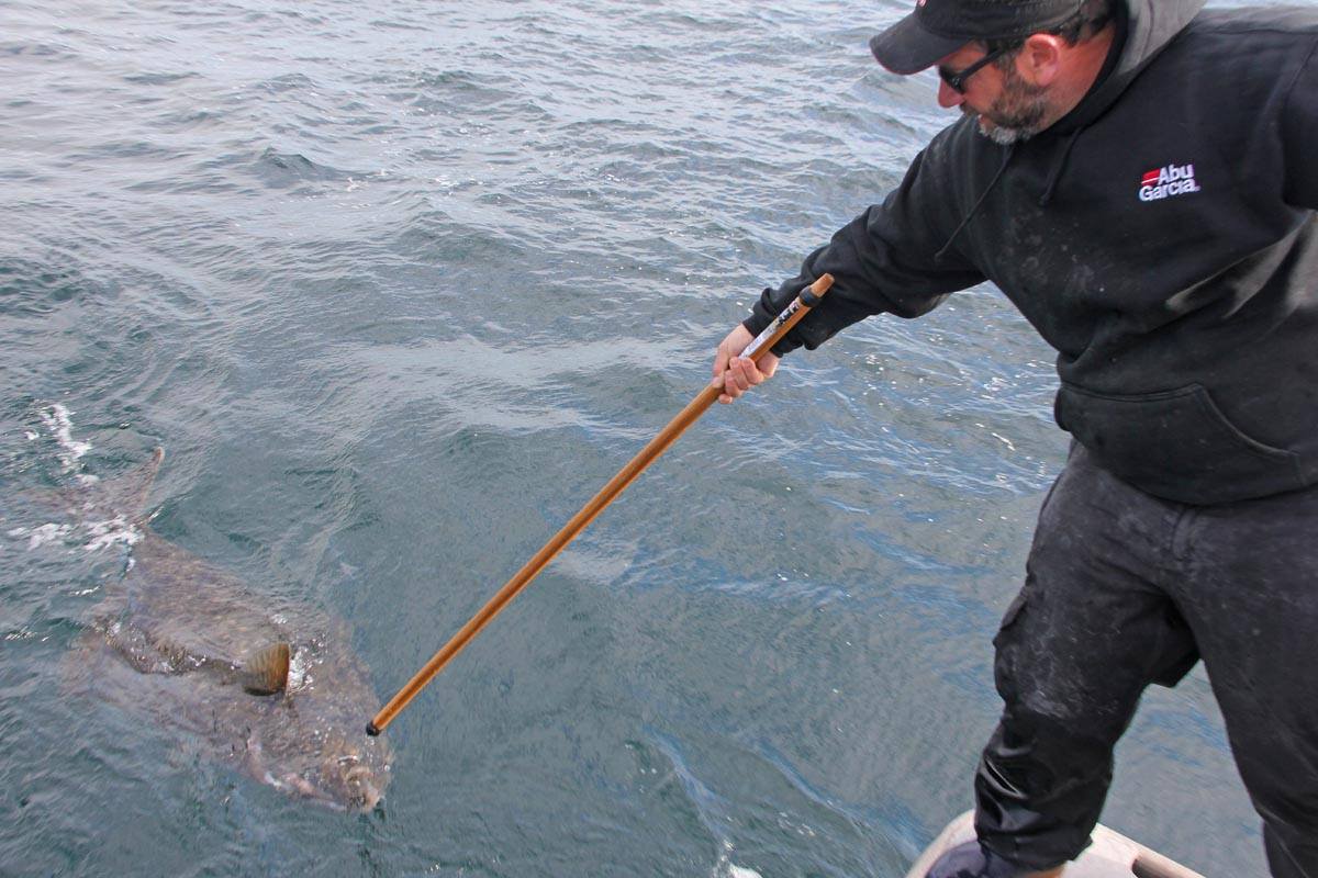 here are a few more releasing photos. We take this stick wit...