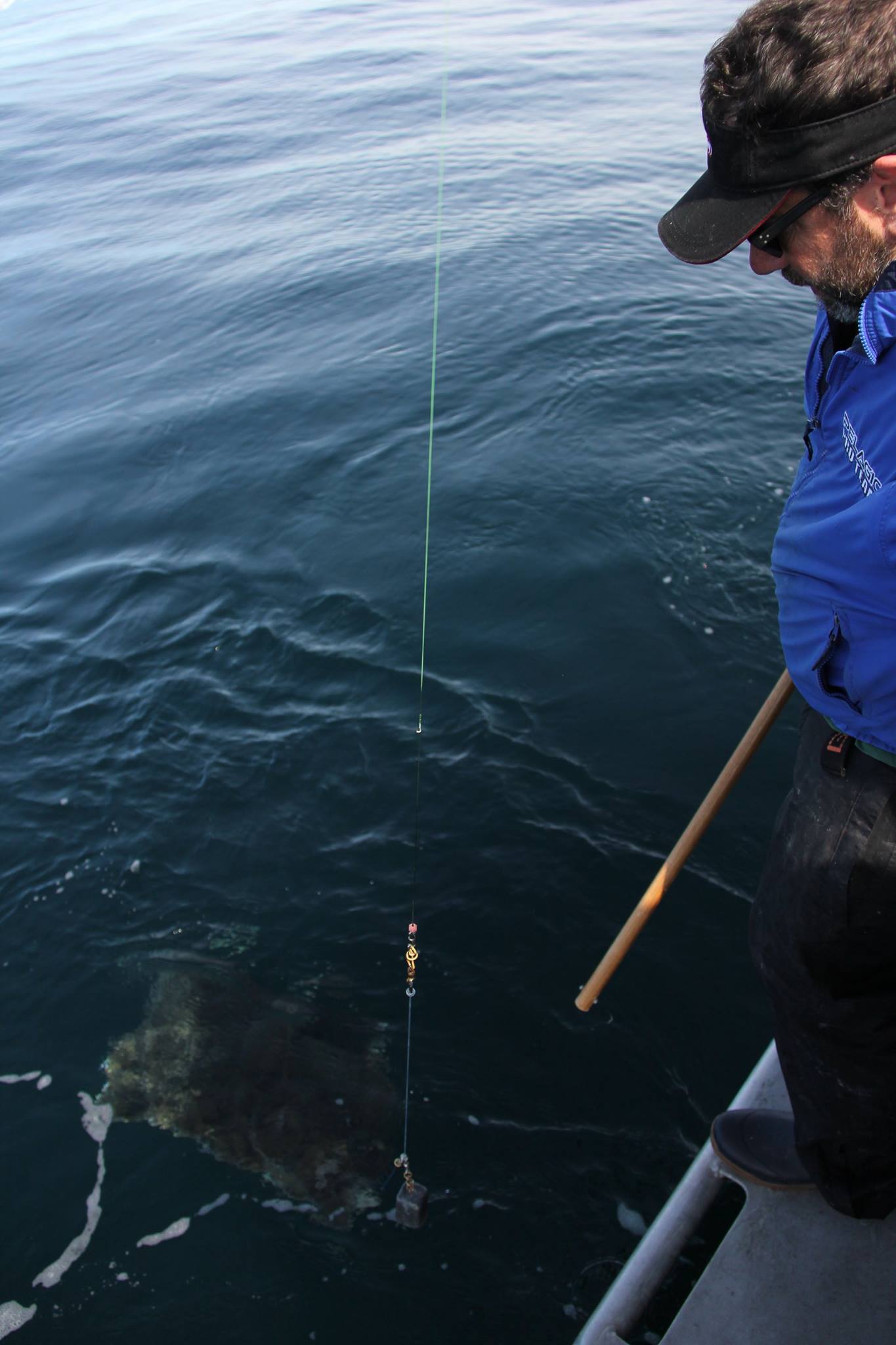 here is how we release the big ones without making them angr...