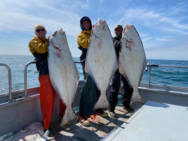 The weather has calmed down and the fishing is heating up...